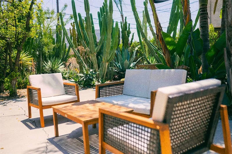 Numa Recovery Centers - Photo 4