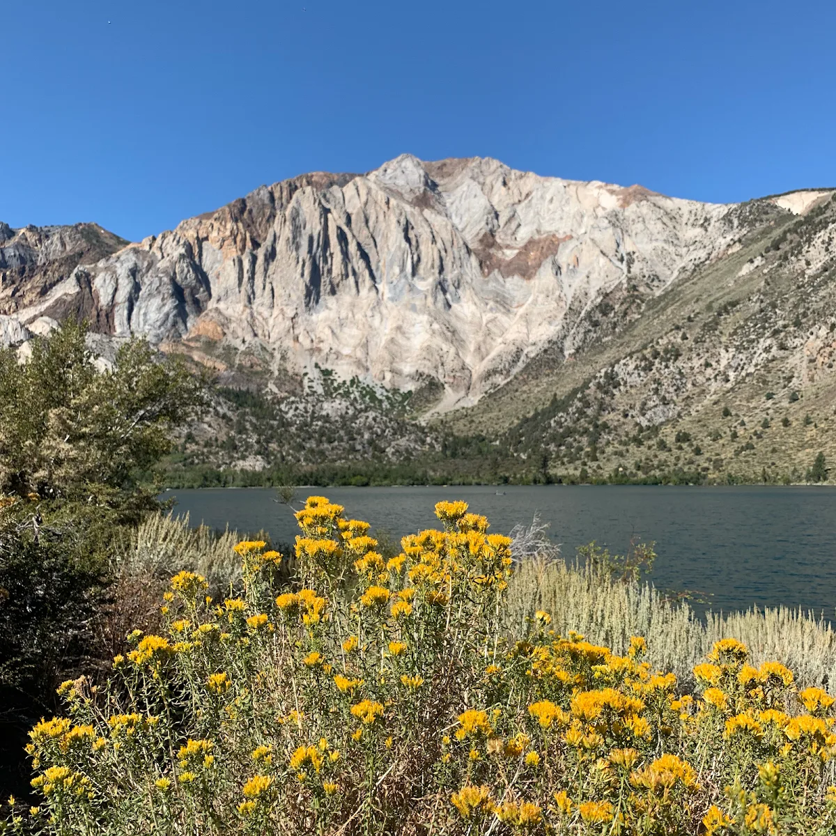 1 Method Outpatient Addiction Treatment facility photo