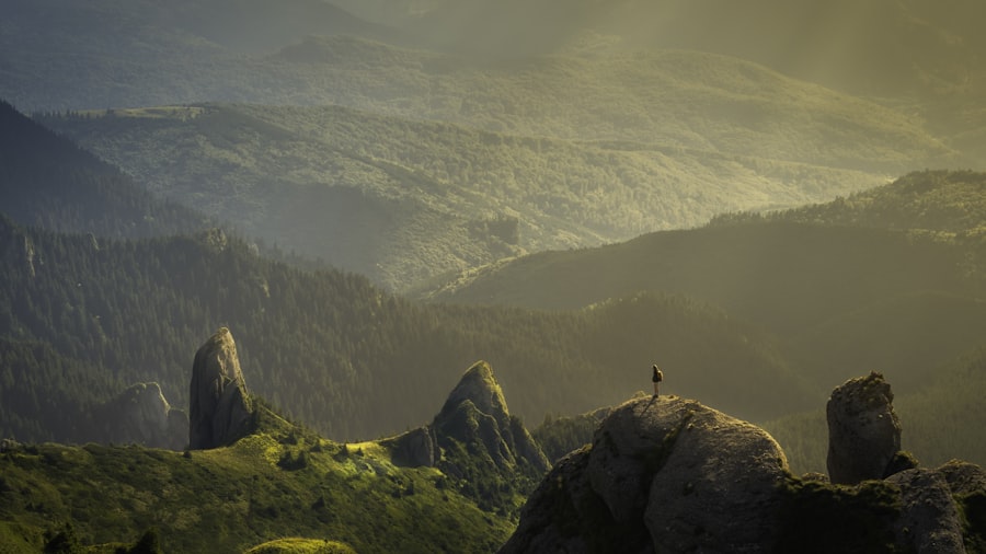 Los Angeles: A Beacon of Recovery with New Initiatives and Supportive Communities